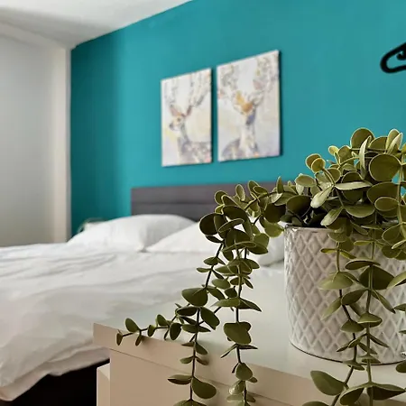 Staypfl Altstadt Daire